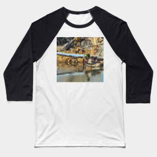 Mallard illustration Baseball T-Shirt